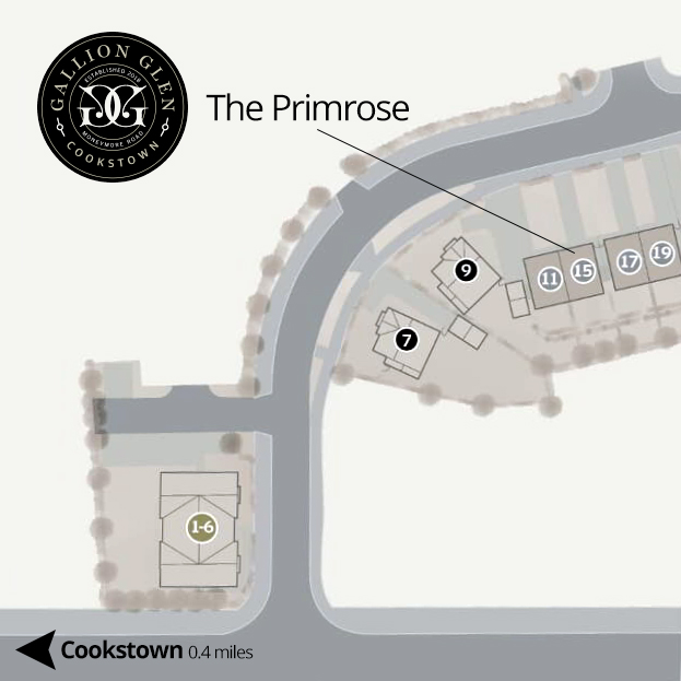 the primrose, Gallion Glen, cookstown